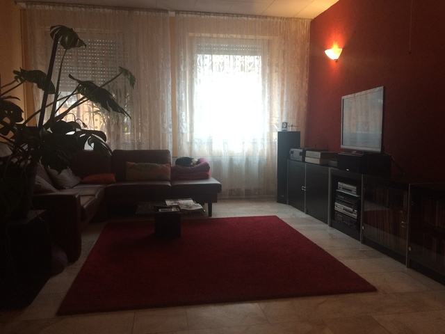 IMG 1622