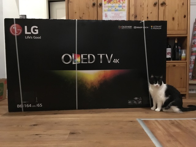LG TV mit Katze