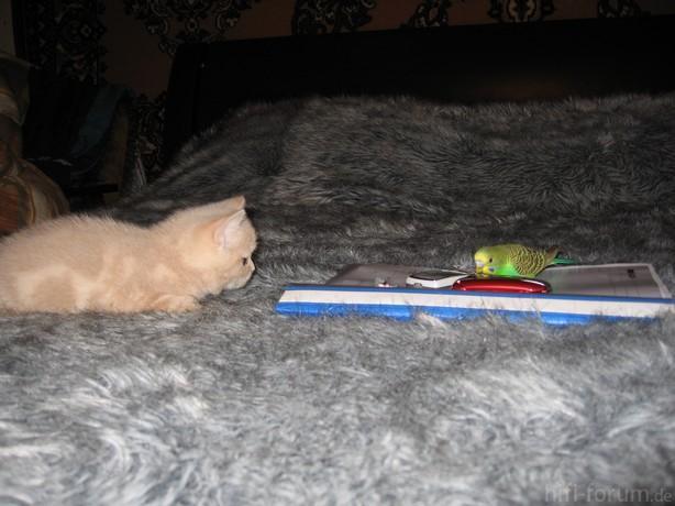 image00111