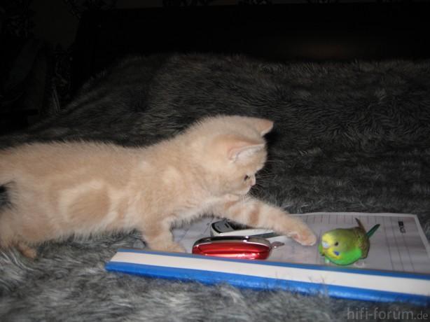 image00222