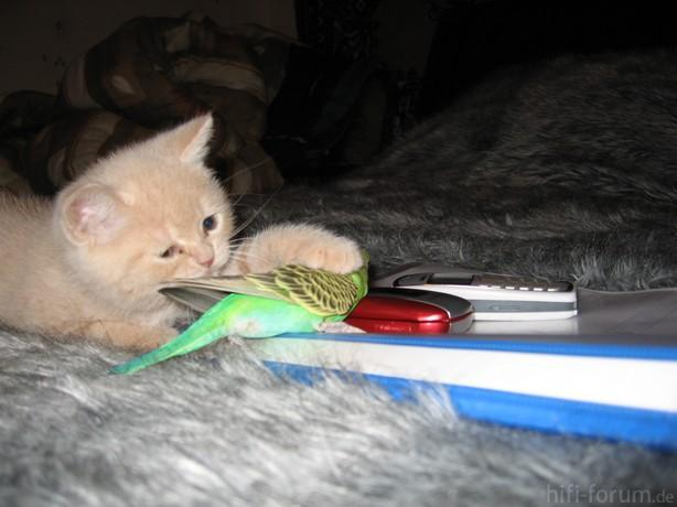 image00333