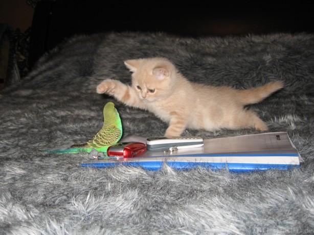 image00444