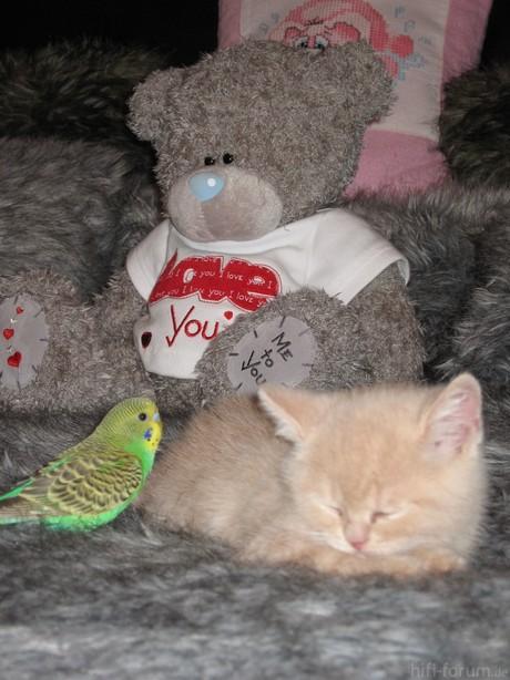 image00666