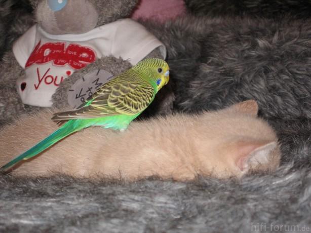 image00888