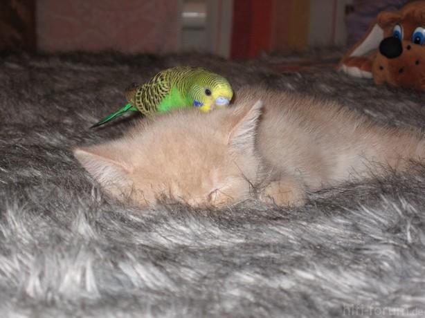 image00999