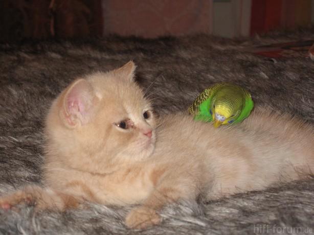 image0111111