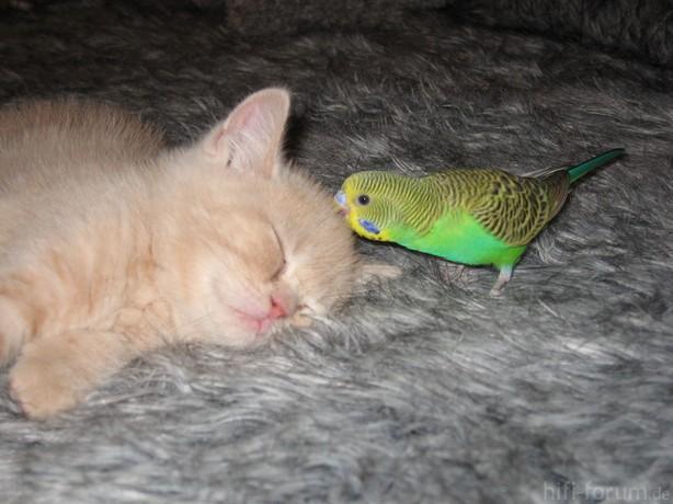 image0131313