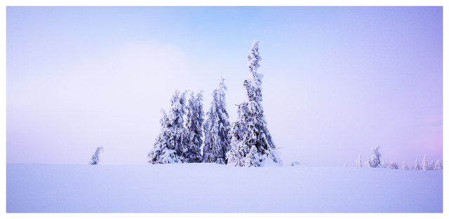 DSC_1929_1080