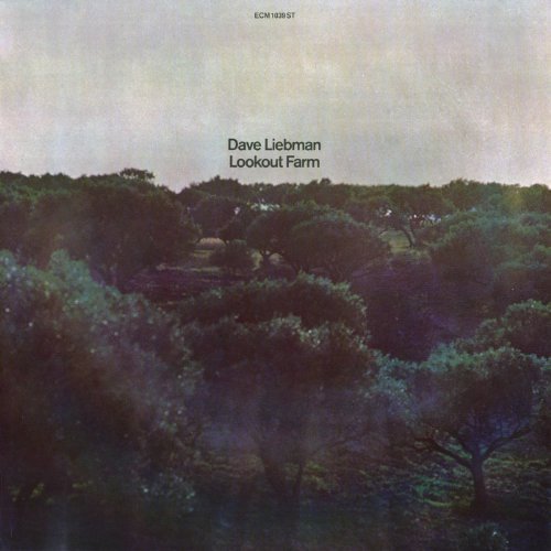 Liebman Lookout 785006