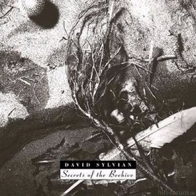 David Sylvian Secrets Of The Beehive