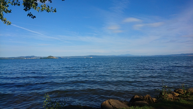 DSC 0815