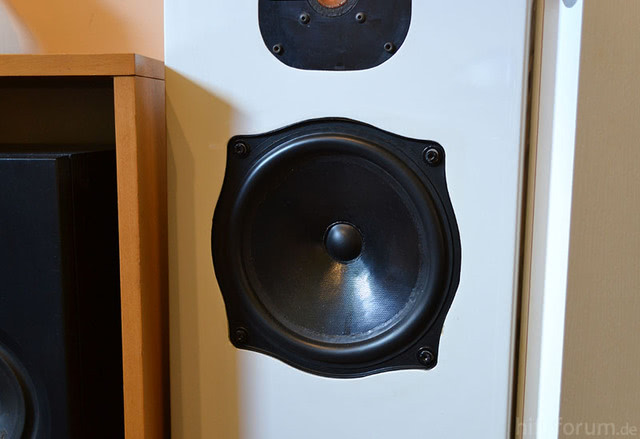 Focal 8N401 DBE