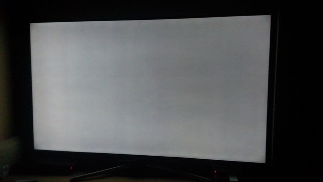 IMAG1603