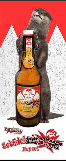 11039279 369948539873438 8429573454526173009 N