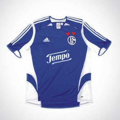 Neues Schalke Trikot