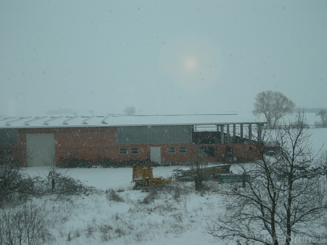 DSCN8339