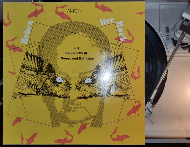 IMG 20220212 185649~2