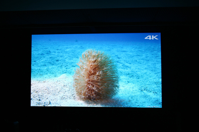 Screen 4k 16zu9