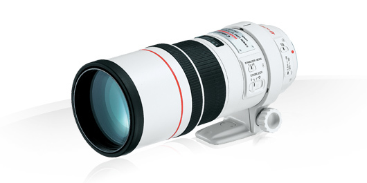 EF 300mm F4L IS USM Default Tcm83 953168