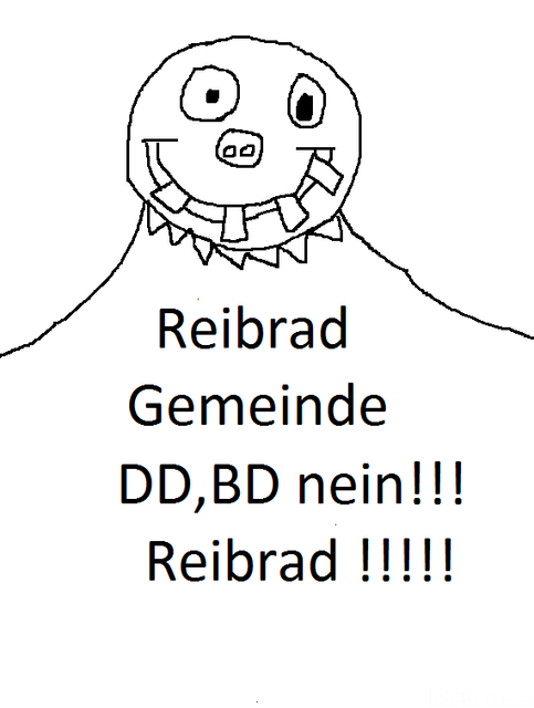 reibrad bild