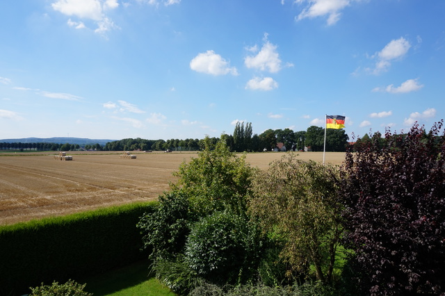 DSC00005