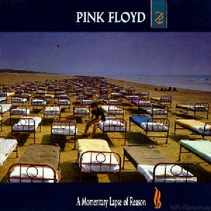 A Momentary Lapse Of Reason