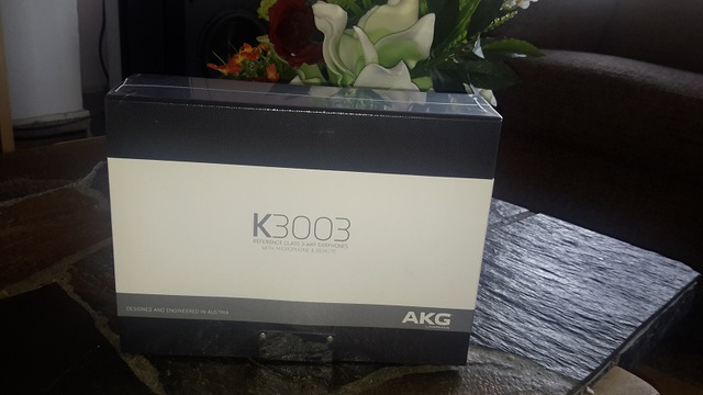 AKG K3003