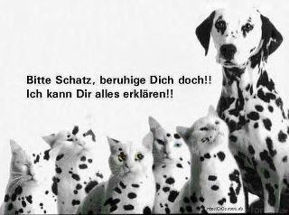 528817 397234956965030 352488234773036 1393686 673096400 N