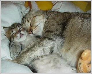 549302 318567328208589 192603560804967 772361 1955827971 N