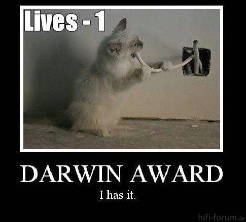 katze-gewinnt-darwin-award-1270041290