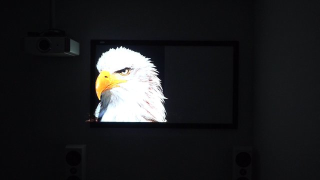 Weiße Leinwandfläche Im Vergleich Mit Einer Hochkontrast Leinwand