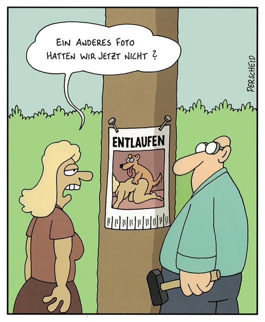 Perscheid-Hund-entlaufen