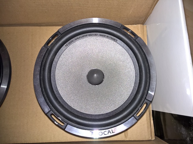 Focal PS 165v