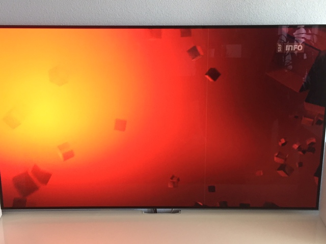 OLED Pixelfehler LG 65c7v