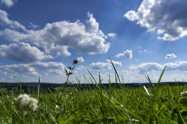 wiese-unter-wolken