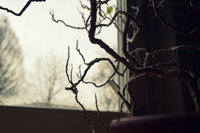 DSC00353.