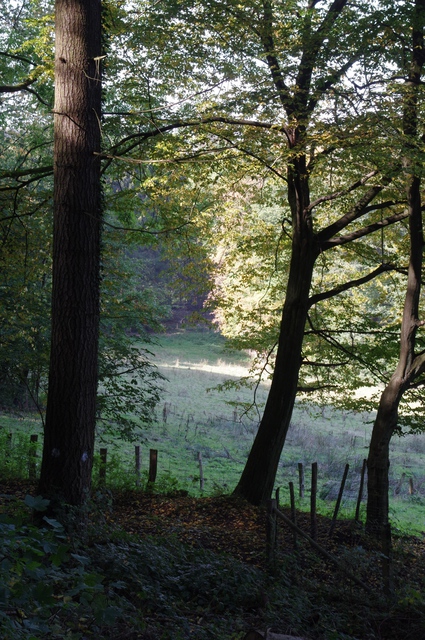 IMGP1887_2
