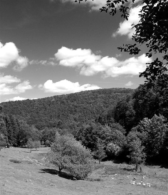 IMGP2105 2 (Groß)