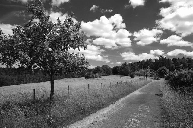 IMGP2108 2 (Groß)
