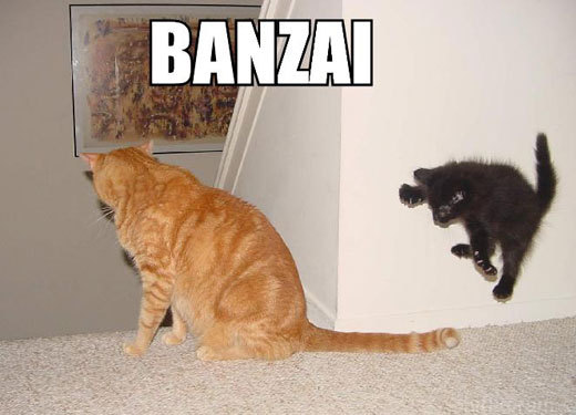 Banzai