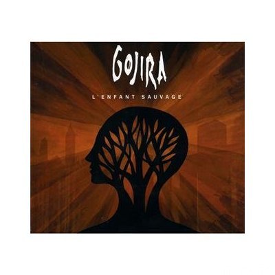 41DF2Od%2Be%2BL  SS400