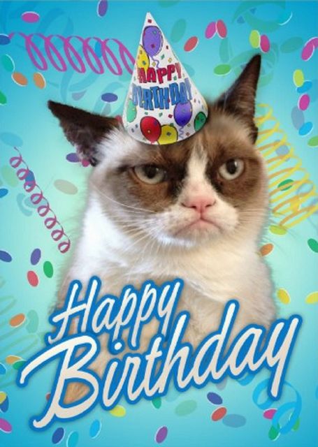 15b254cf0c65fa28f9cb463ed676d3d1--grumpy-cat-birthday-cat-birthday-cards