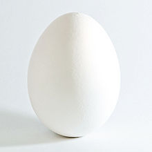 220px White Chicken Egg Square