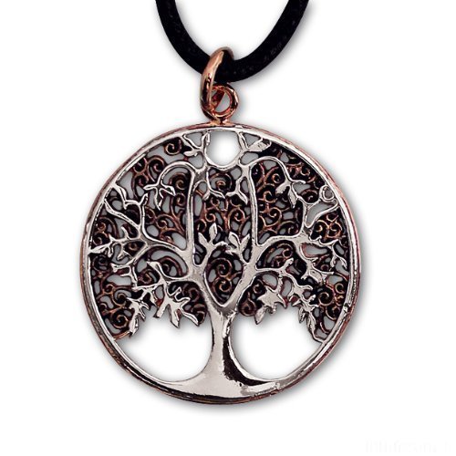 517c8bmq2b8lsl500 249052