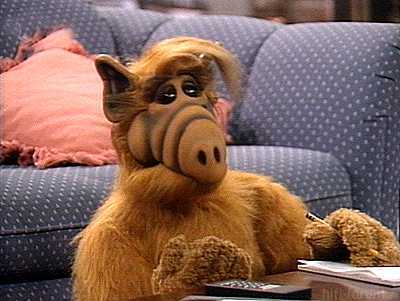 Alf