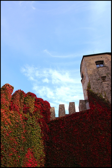 Autumn Castle