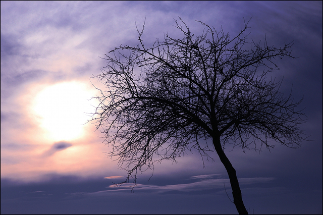 Melancholia   Blue Hour