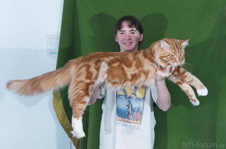 Susan Holding Cisco T