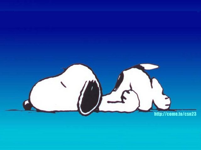 Sleeping Snoopy