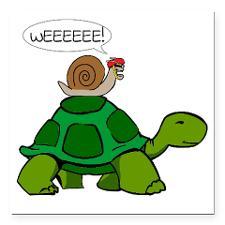 Snail Turtle Square Car Magnet 3 X 3